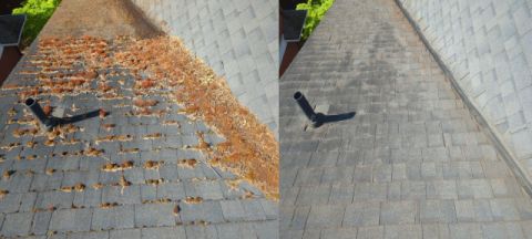 Protecting Your Roof