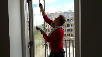 Summer Window Cleaning